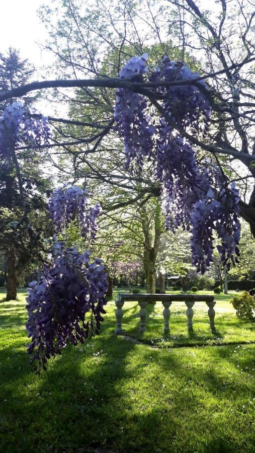 La Maison Du Champ De Beaumont Galgon Dış mekan fotoğraf